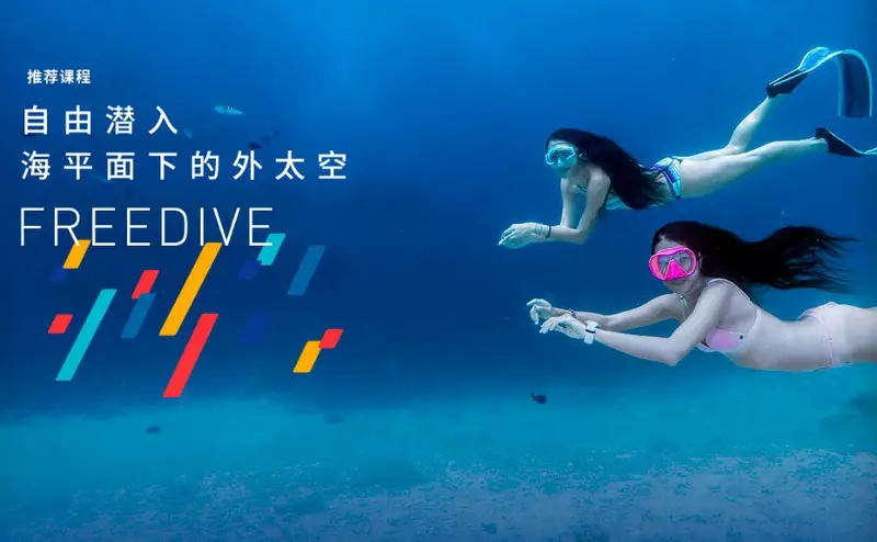 Wave Chaser Diving Club