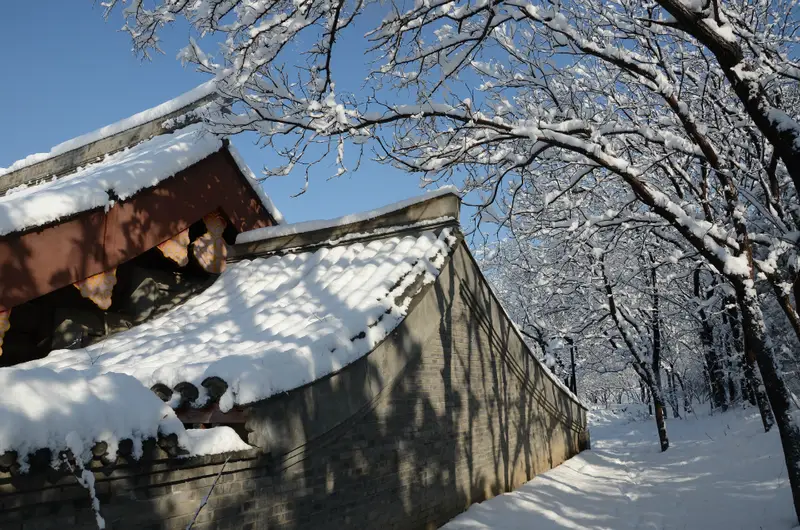Yuan Dynasty Capital City Wall Relics Park - Jimen Smoky Trees Monument