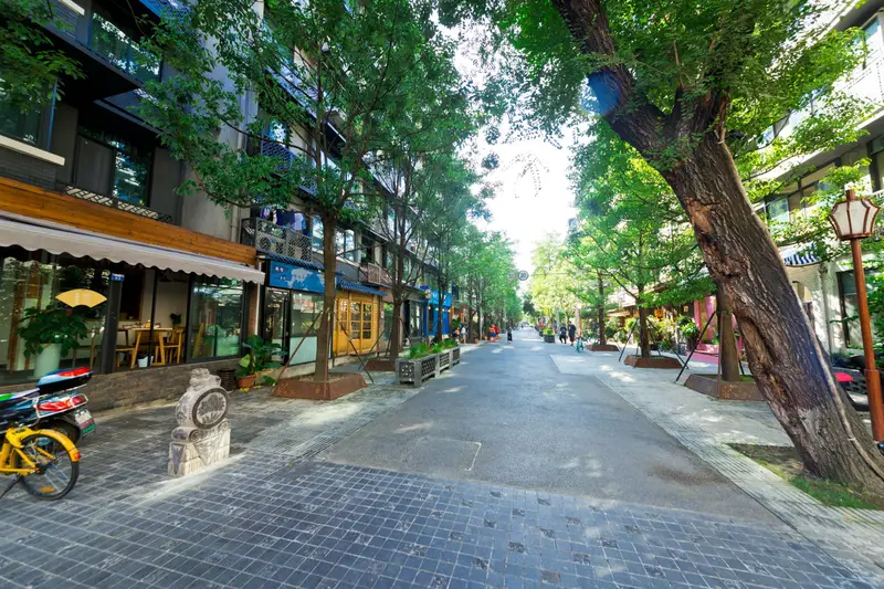 Paulownia Street