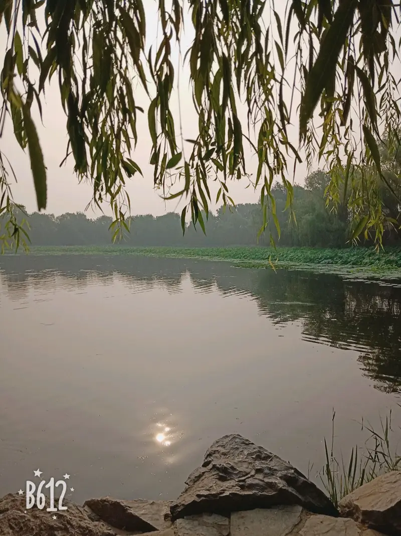 Qichun Yuan