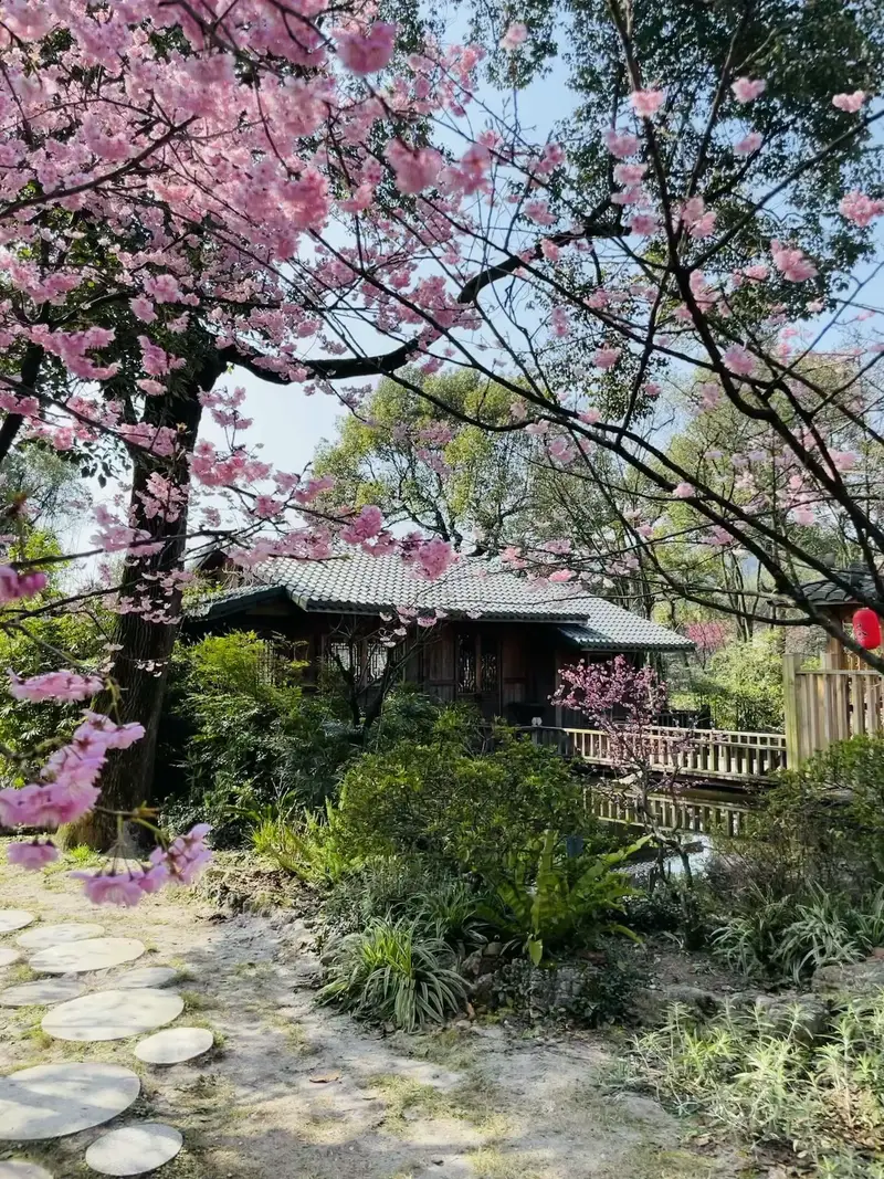 Chongqing Nanshan Botanical Garden