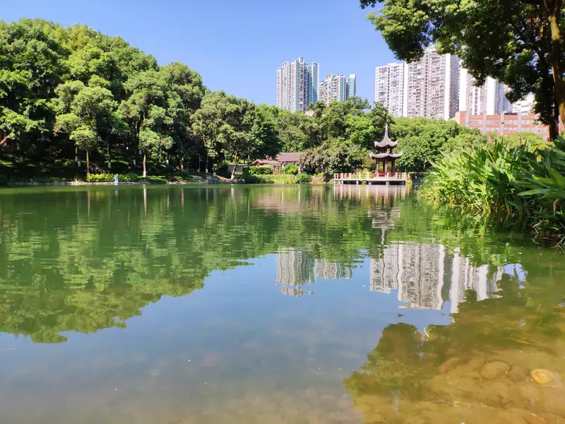 Shaping Park