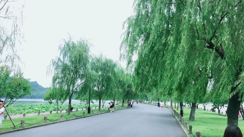 Bai Causeway