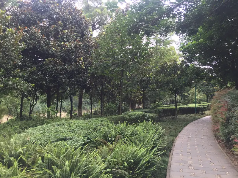 Shahe Park