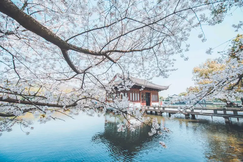 Su Causeway In Spring Dawn