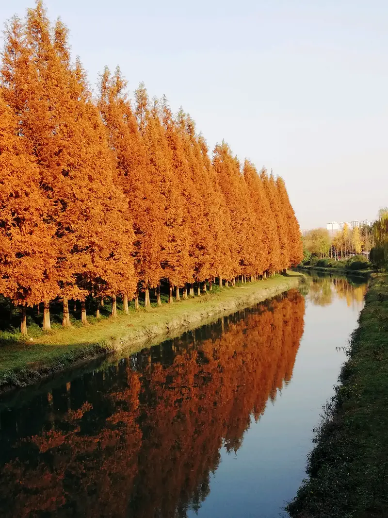 Shengxian Lake Park