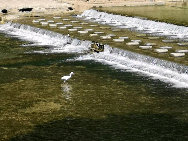 Jiezi Western Sichuan Folk Song Village