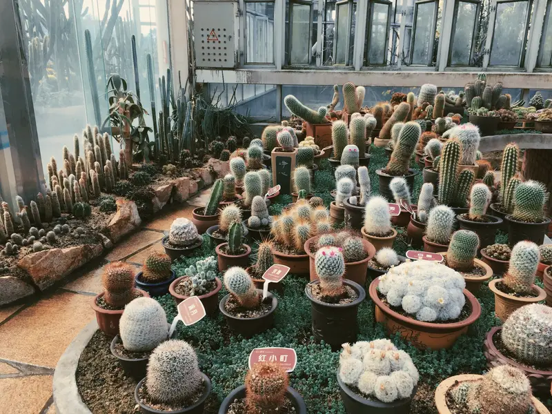 Xiamen Botanical Garden Cactus Plant Exhibition Hall