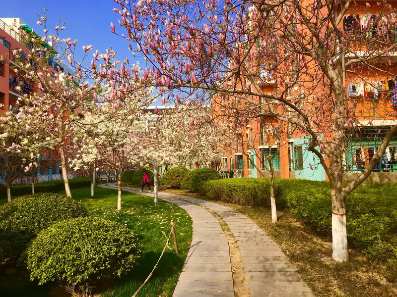 China University Of Petroleum