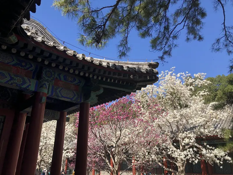 Summer Palace - Stroll In The Painting