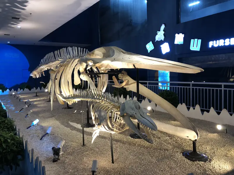Qujiang Ocean Park