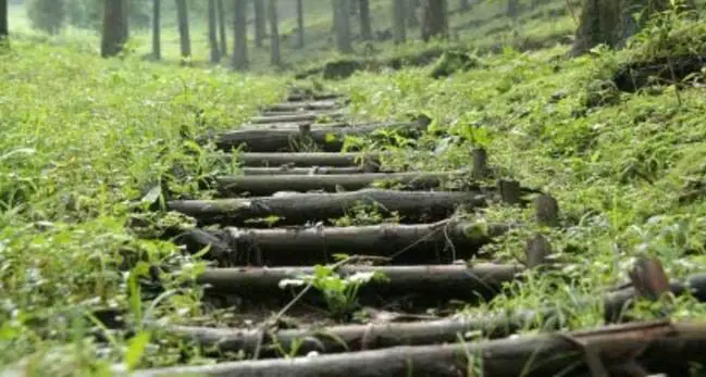 Eco Daping (Chengdu Little Danba)