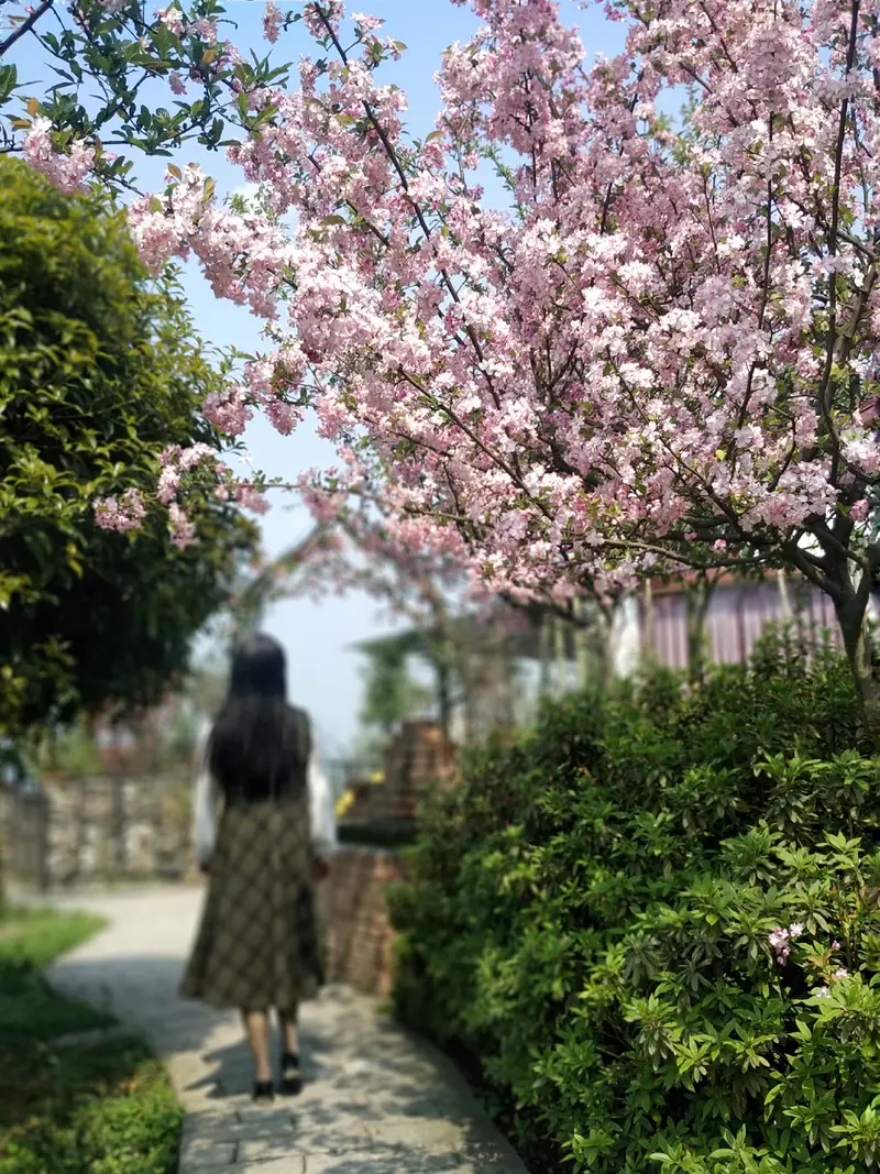 Huaguo Mountain Eco-Tourism Agricultural Tourism Area