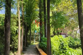 Lianhua Mountain Ancient Quarry Site
