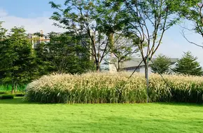 Asian Games Cultural Village