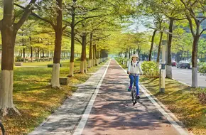 Guangzhou University City