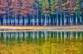 Dafu Mountain Forest Park