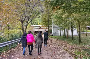 Wenjing River