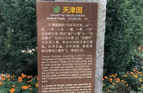 Tianjin Yuan