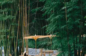 Bamboo Art Park