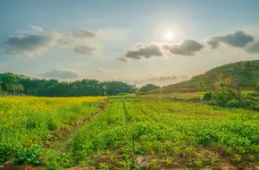 Hundred Flower Valley