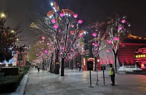 Return To Chang'An