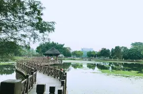 Dafu Mountain Forest Park