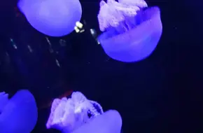 Qingdao Marine Science And Technology Museum