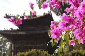Taihe Palace