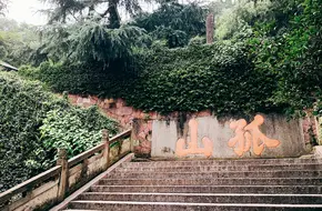 Lone Hill