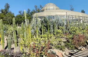 Xiamen Botanical Garden Cactus Plant Exhibition Hall
