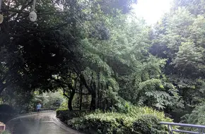 Jinniu Park