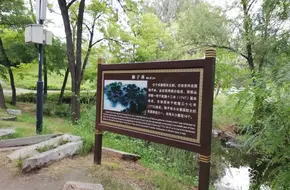 Yuanmingyuan Lion Grove