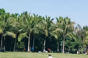 Shenzhen Bay Park - Area A