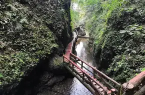 Hidden Dragon Gorge Plank Road