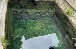 Xi'An Incident Relief