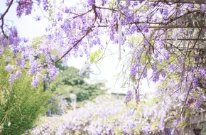 Southwest Jiaotong University