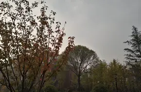 Sino-German Ecological Park