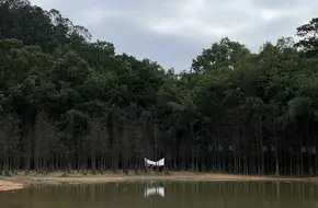 Guangzhou Asian Games Forest