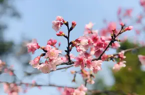 Zhonglun Park