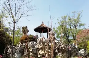 Jiangsu Garden