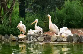 Yunnan Wildlife Park