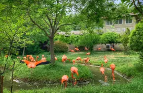 Qingdao Forest Wildlife World