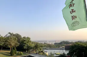 Lotus Wonderland