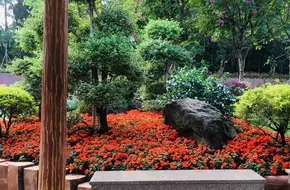Lotus Mountain Scenic Area, Hundred Flowers Garden (Taolian Road)