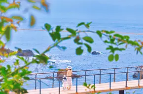Qingdao West Coast New Area Dingjia River Park