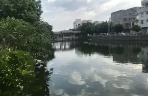 Kengtou Village Ecological Park