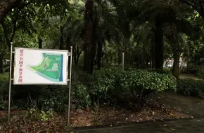 Dexing Park