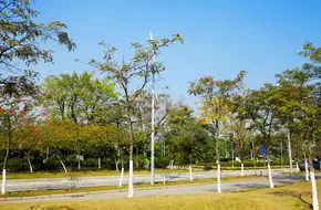 Guangzhou International BIO-Island