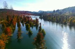 Songhua Dam Nature Reserve